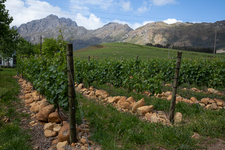 <div></div>